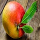 This is the thumbnail of the item